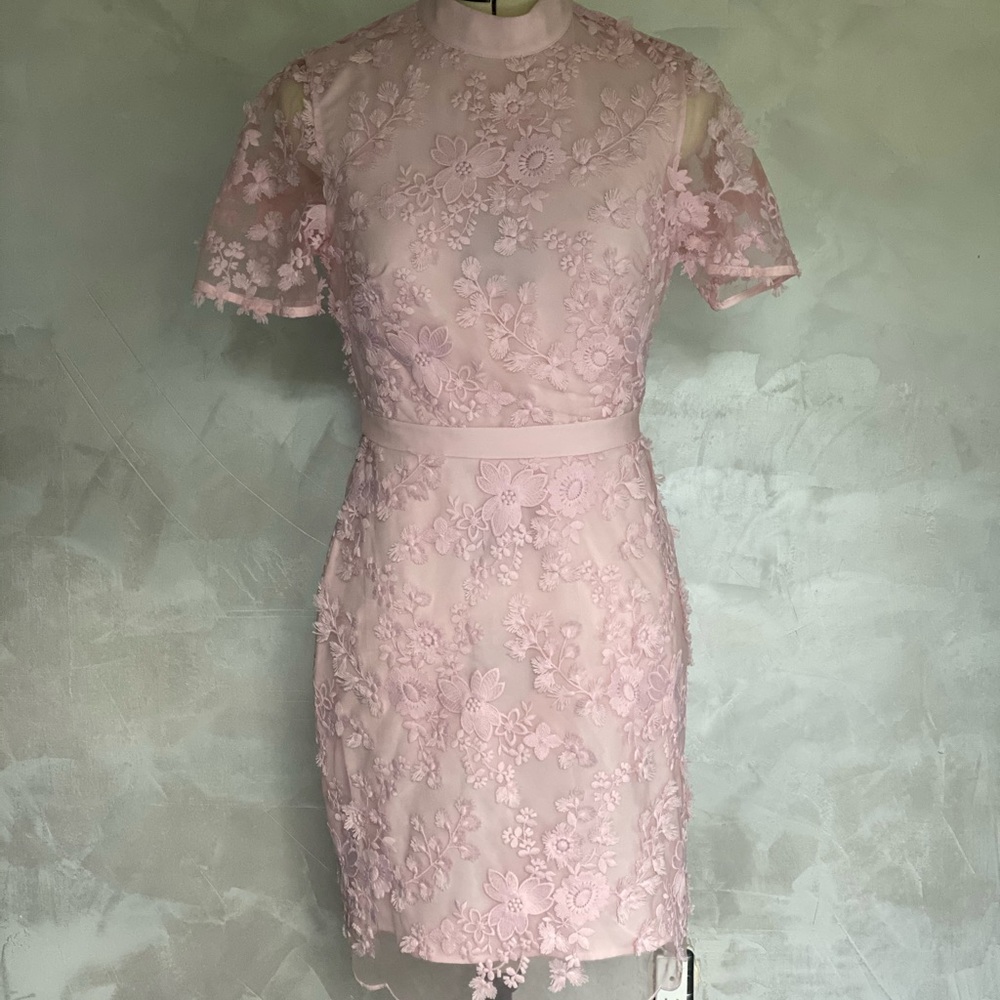 Ted Baker Elegant Lace Collar Dress pink 0